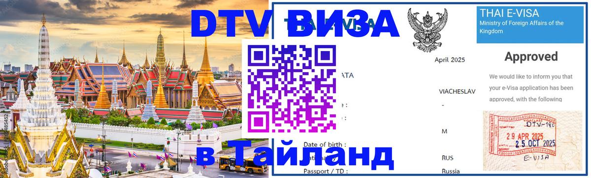 Оформление DTV визы под ключ: стоимость и тарифы, только загранпаспорт - Улан-Удэ 